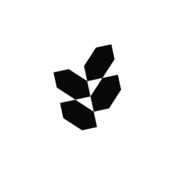 logo_monkey